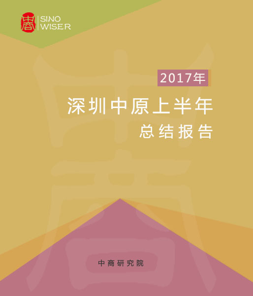 2017年深圳中原上半年总结报告