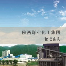 陕西煤业化工集团管理咨询