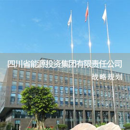 四川省能源投资集团有限 责任公司“十三五规划