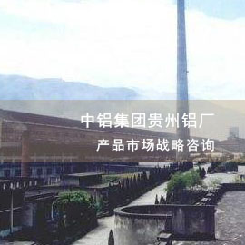 中铝集团贵州铝厂彩铝产品市场战略咨询项目