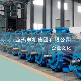 西玛电机集团有限公司