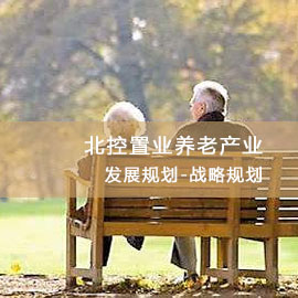 北控置业养老产业发展规划-战略规划