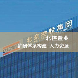北控置业薪酬体系构建-人力资源