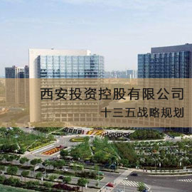 西安投资控股有限公司十